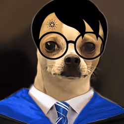 14979902399443104664204166341598272567313800802694280279568744158873270616065
