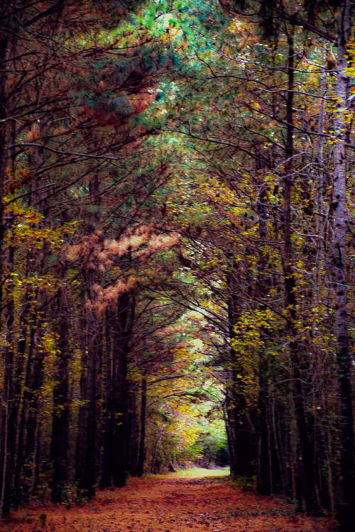 Item #104799982868219271202850359508039288036782186707159500930634758358713543688193 Media