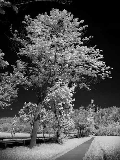 Item #40160686583094733528677484039903516258611509642019211679321071626594979676161 Media