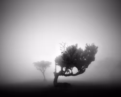 Item #46448320690235251329430811416754344806900568811050689934660167661151561187329 Media