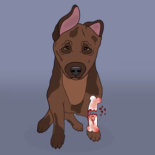 Item #18929025953091685879740265421444029621973902778044225700407145455008517980161 Media