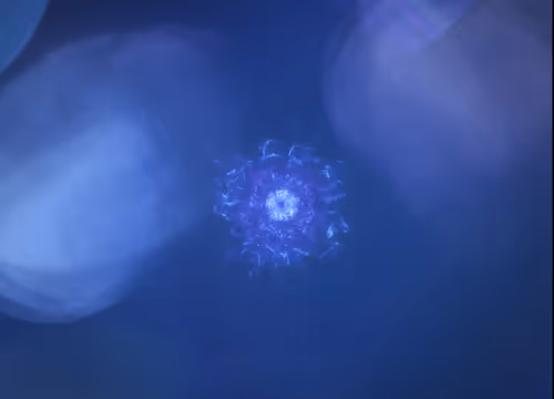 Item #52855059768790728945448853557974158537114858408602673384442303880391882178561 Media