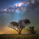 In Sight of Stars