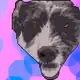 33125935895160562795954812113807849113012544379336307845550343644324284071937