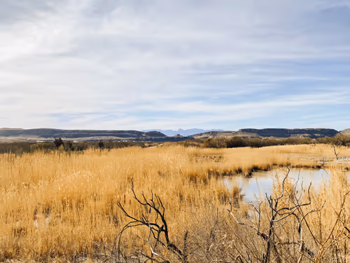 Item #42956466618878321387532578261577756492161920653755194423256676486813797318657 Media