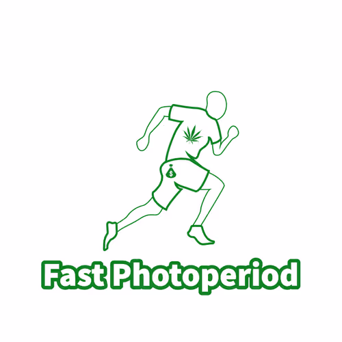 Item #50513128607800716291001204284851075840536625727922592164304407758151975174244 Media