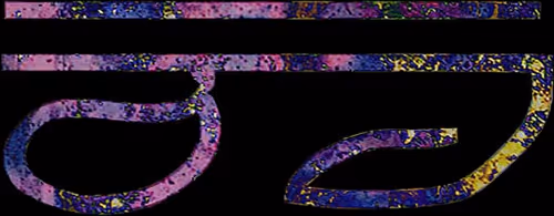 Item #25134024236616184979521667367921431367203659848766423059433089104157536682984 Media