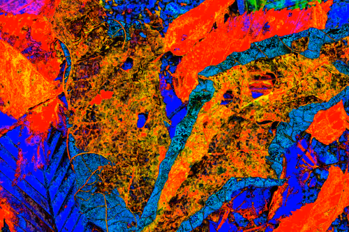 Item #11128123256113201505825332092376579448973501376012613523417643023885414694913 Media