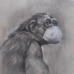 Homoanimalis