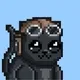 Moonscats NFT