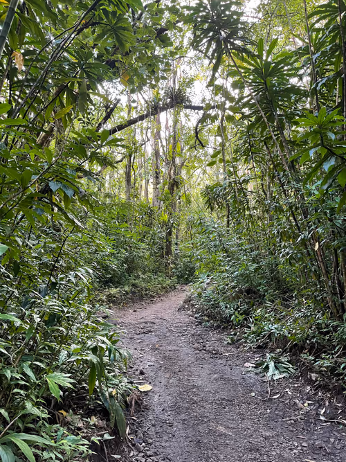 Item #60049021281838875725342691743098835561233814610274279407068971093614535901185 Media