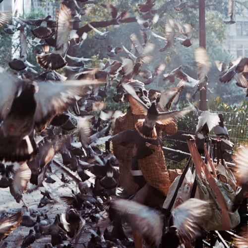 9786954614263872239675759573752117098889626184516004593243317305051086585857