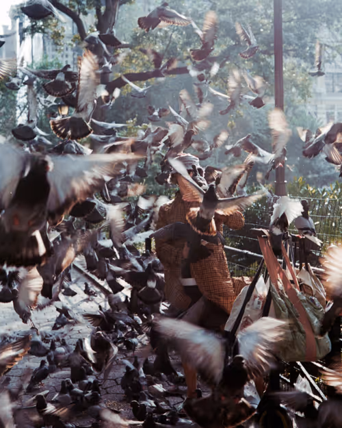 Item #9786954614263872239675759573752117098889626184516004593243317305051086585857 Media