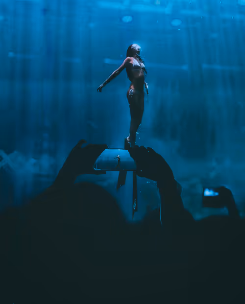 Item #5120042332681476466632520770121700592134821440612237730621647062925557366785 Media