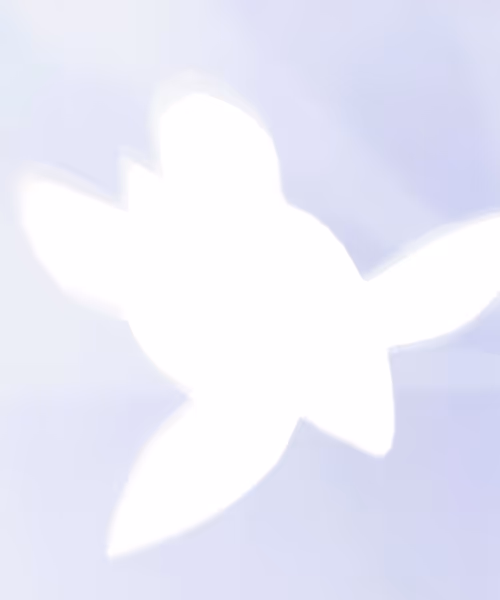 Item #66412083877775050052255921183624814536266007620308041883263231621338125828097 Media