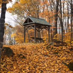 Fall