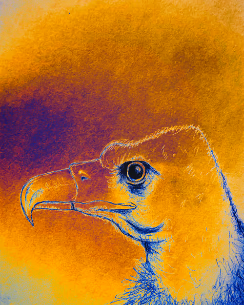 Item #58464231899672554220977429482409761262837585671771119037668409148693811298305 Media