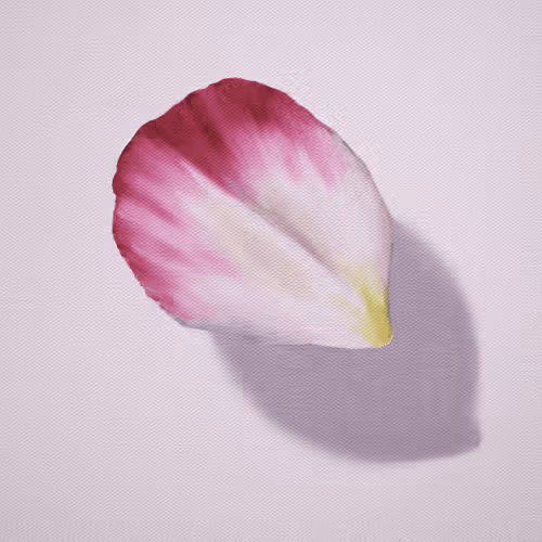 Fragile Collection by Oksana Vinnichenko