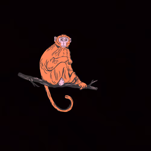 Untitled Collection #183773009 - old