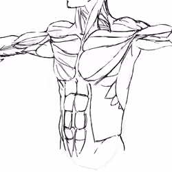 Just Anatomy -1-