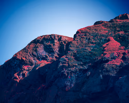 Item #60159483493632401333045796468975237481349859930620464004272301078128640393217 Media