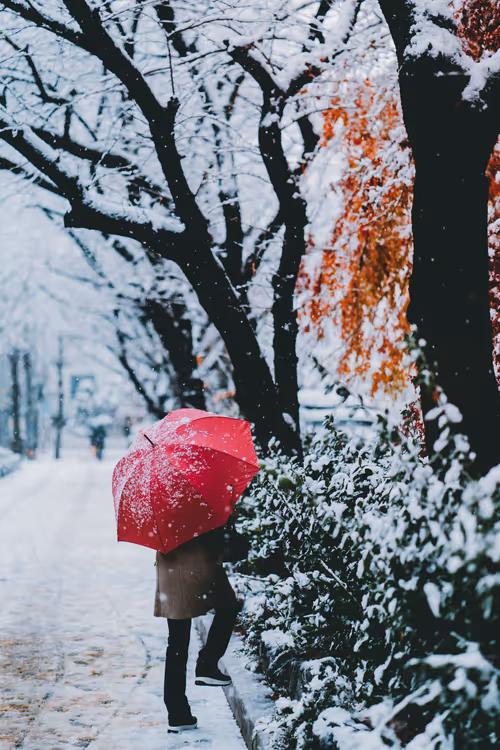 Item #96745862257255462714249523811464070259827223018211403582317496726417177575425 Media