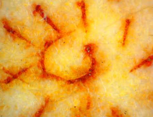 Item #71646257518770613568983710813551014237803002136866425209291834318764168445953 Media