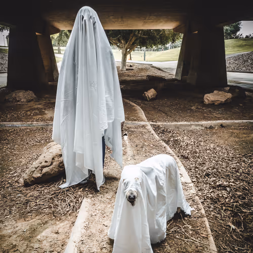 The Art Portraits #30. Ghost Girl and Ghost Dog