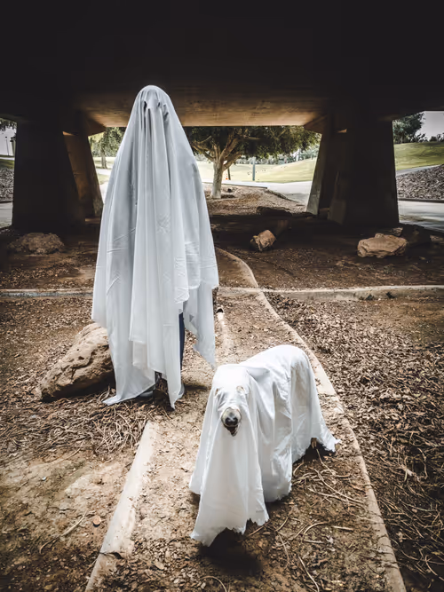 Item #8991158009075691006233407383159107478392211562958348047534999678151301267457 Media