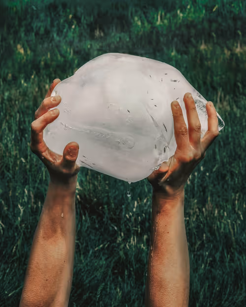 Item #109162157552346088047496633038404394118504199992061596446112929444601477988353 Media