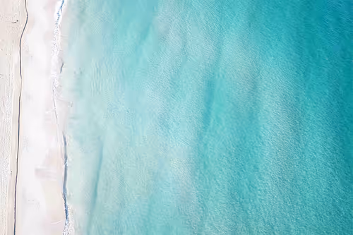 Item #25368776040682519390983776677225528740167958372111640572942765172220191834117 Media