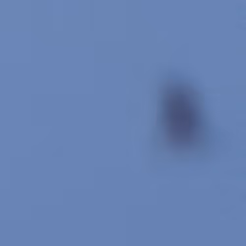 19624833753065134502322523397661449592340320591510987069321211815805950361601