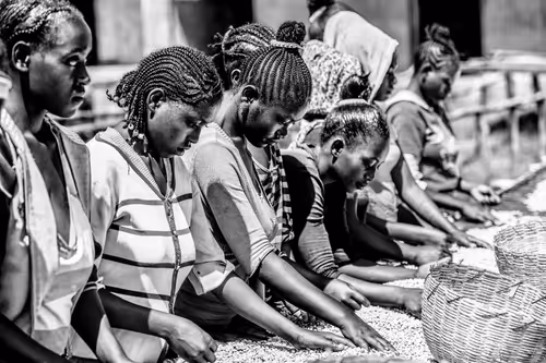 Item #50027882237522295676960542276708360859068113986169674979910834008659794591745 Media