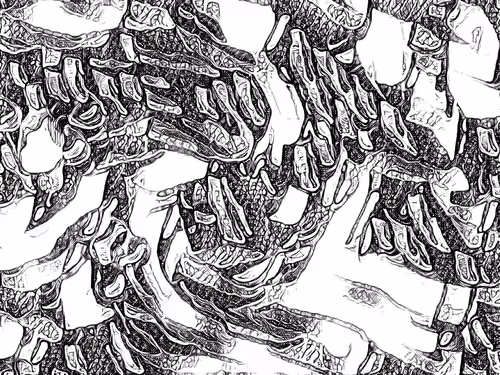 Item #28106886042641220033050963566931467325935257839614022462883330861791352717313 Media