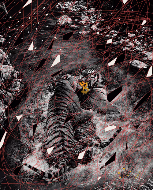 Item #24687316656696377776097421634419303243966632961462953667564156930231847878657 Media