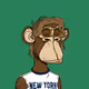 64329649667036424612347610946623108563734429916574030438239621345032177451009