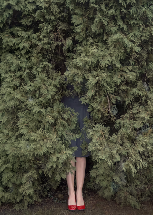 Item #66199238370220987817260704809787442862597280032429936774217036775410855051265 Media