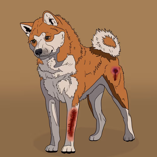 Item #18929025953091685879740265421444029621973902778044225700407145464904122630145 Media