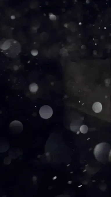 Item #81863758047533795005167174256928379485933779819746118529939181360573061267457 Media