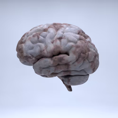 Item #77412820926303725204956055566925211190020908428863033075197849114867421675521 Media