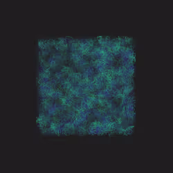 12032733712256437664215437925069129638151898554142308319368358904845008109569