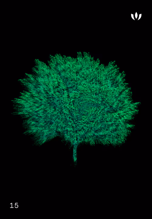 Item #30579750124061878473924884355833297327322833746354964518713563910302718754826 Media