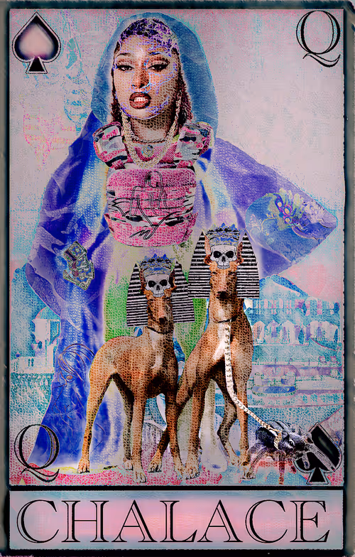 Item #74679626515480029502355411411819587609416795465560741063491138225797467209729 Media