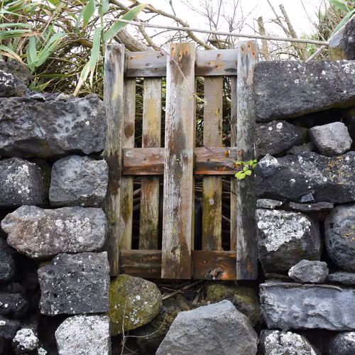 drrckowns Collection