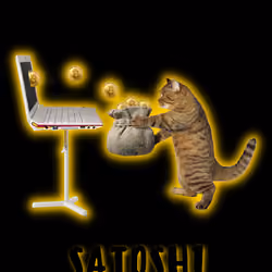 Mining Satoshi #1 of 1