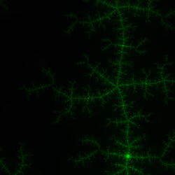 Neural Neon #11