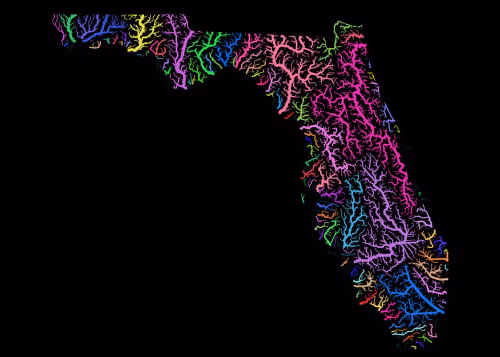 River Map Nft