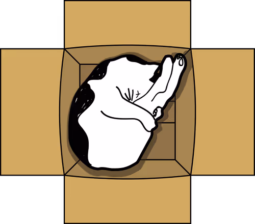 Item #39805114406174114773980614923052611762167920447738557333070094657487663792129 Media