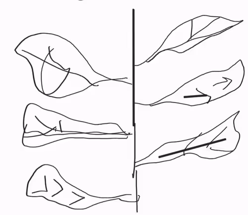 Item #79627330353508286236453968934541240857363885994477419106939523301983066783745 Media