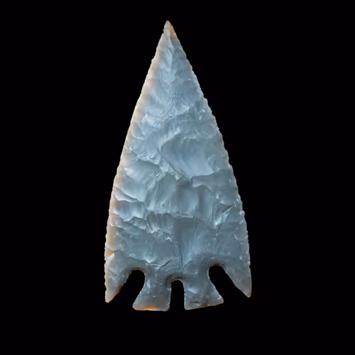 73012537247702807532369324926658446839130533184421937656810479180129908031489